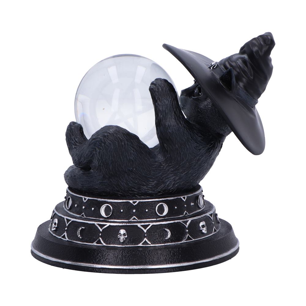 Purrah's Fortune 12.2cm
