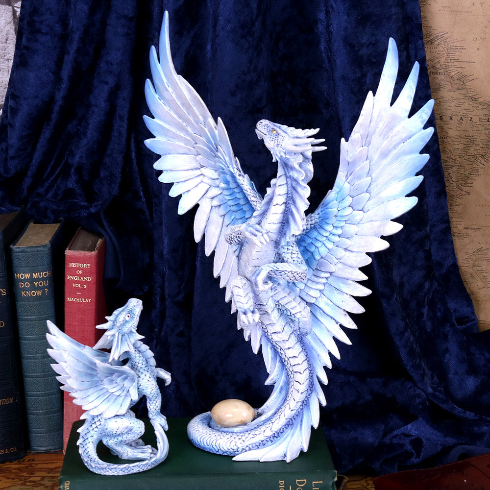 Age of Dragons - Anne Stokes