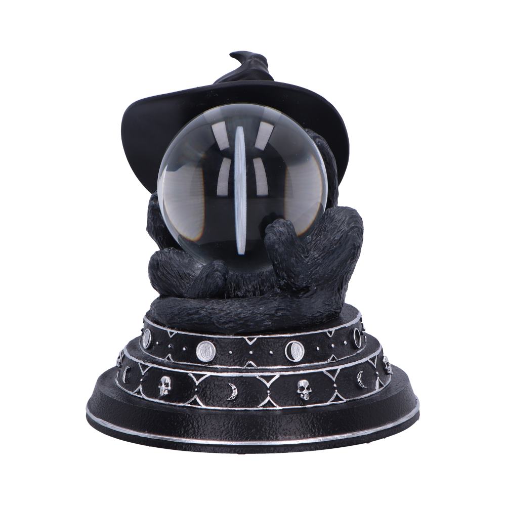 Purrah's Fortune 12.2cm