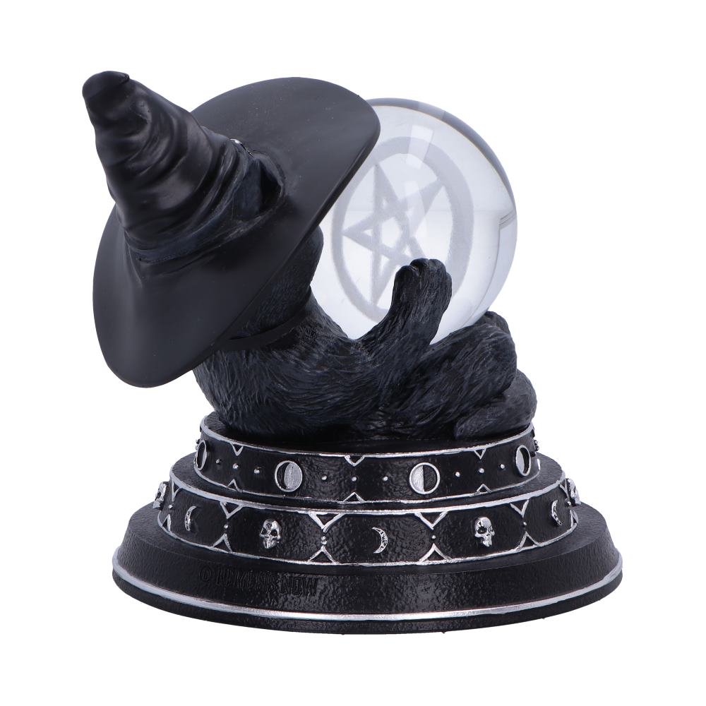 Purrah's Fortune 12.2cm