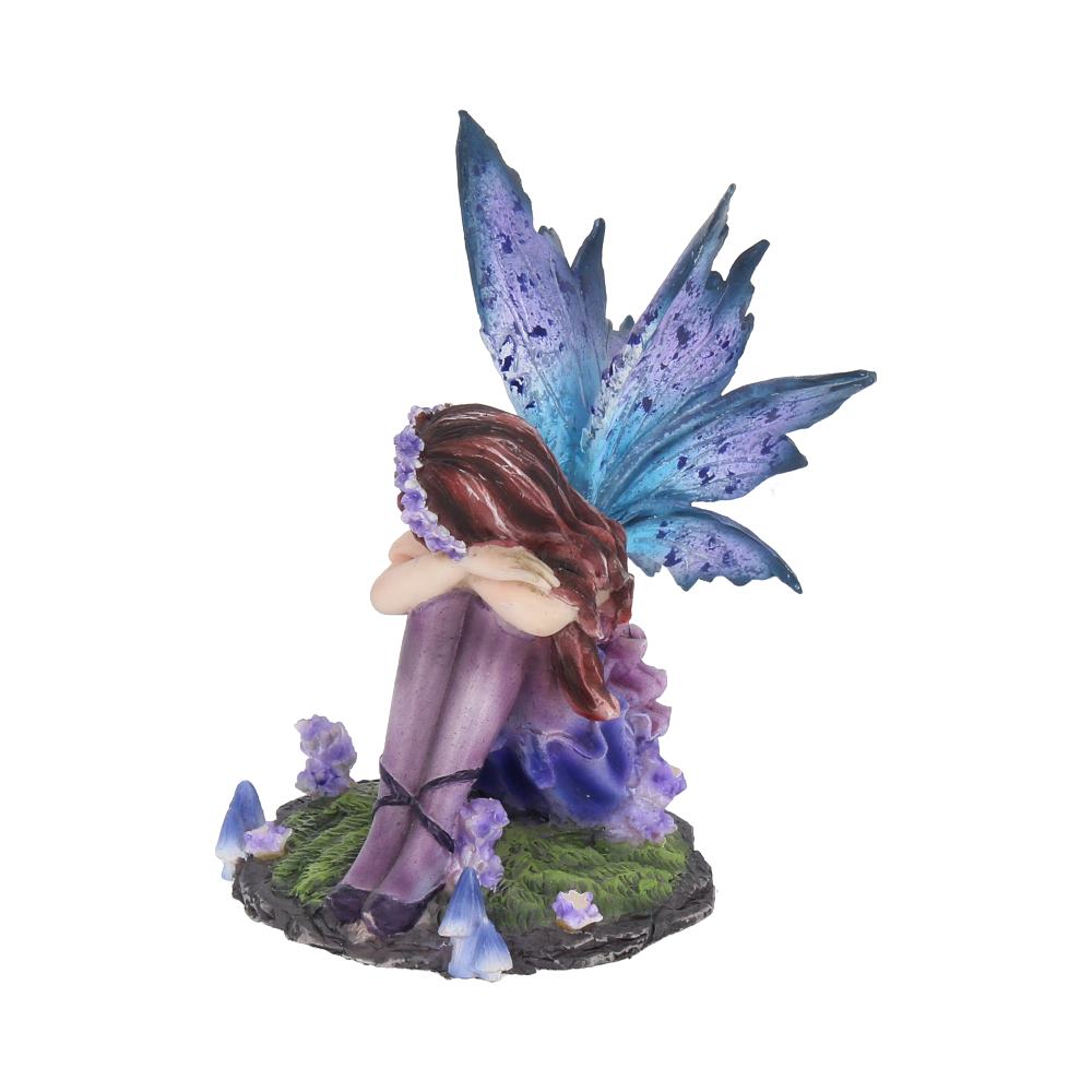 Akina.  10cm