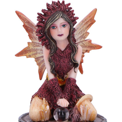 Crystal Fairy Poppy 9.5cm